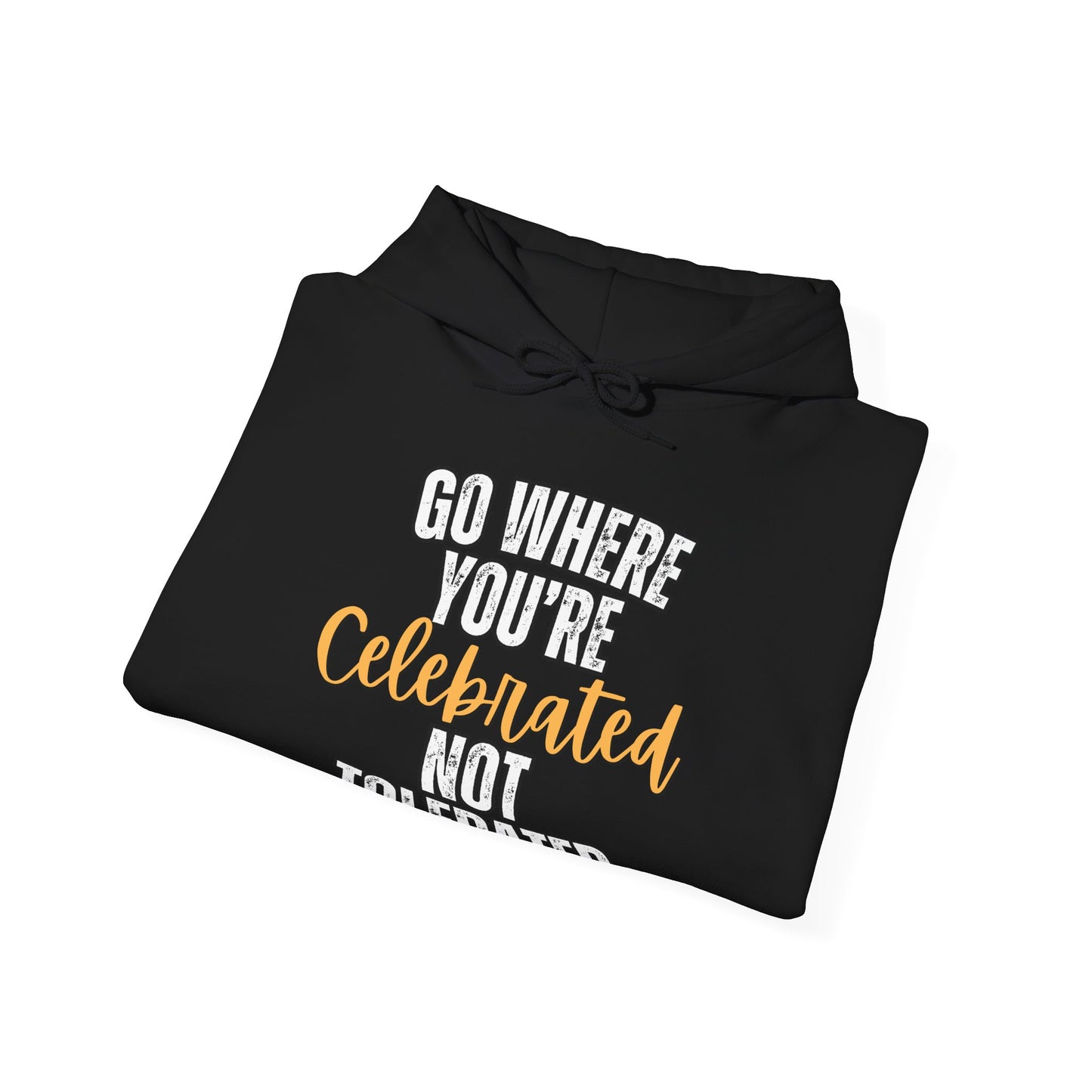 Celebrated Heavy Blend Hoodie