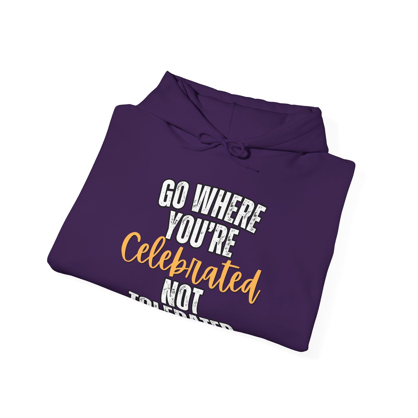 Celebrated Heavy Blend Hoodie